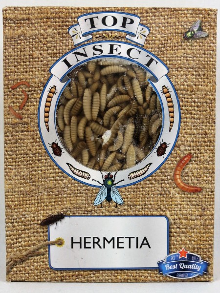 Hermetia (Soldatenfliegenlarven)